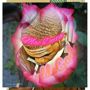 Meet your Posher, Mac dotta